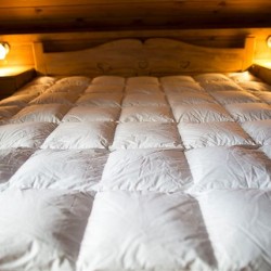 Paplón Premium Bruno 140x200 cm, 50% páper