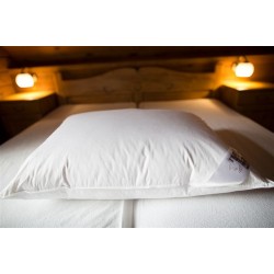 Vankúš Premium Bruno 50x70 cm, 50 % páper