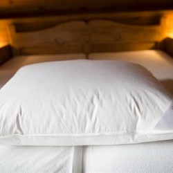 Vankúš Premium Bruno 70x90 cm, 50 % páper